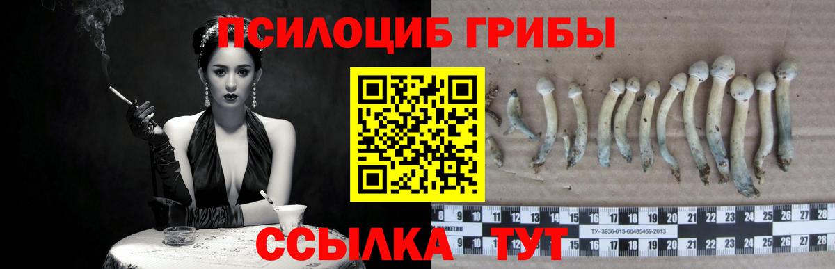 Псилоцибиновые грибы ЛСД  Вход с VPN  где можно купить наркотик  Псилоцибиновые грибы GOLDEN TEACHER  Баксан 